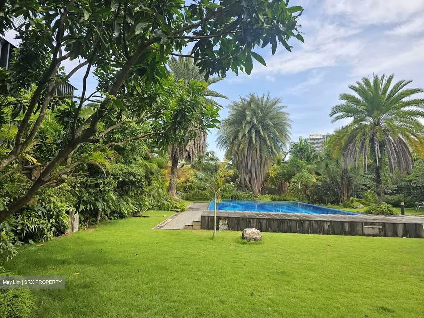 Holland Park (D10), Detached #580179291